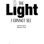 The Light I Cannot See