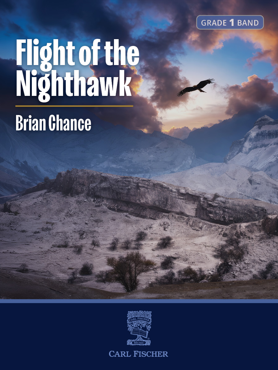 BR16 Flight of the Nighthawk - Image 1
