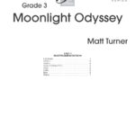 Moonlight Odyssey