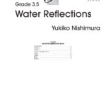 Water Reflections