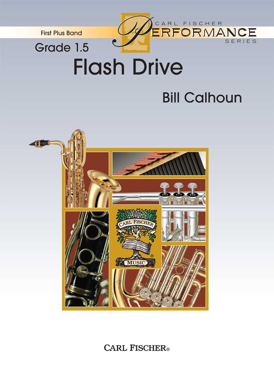 FPS90 Flash Drive - Image 1
