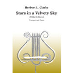 Stars In A Velvety Sky