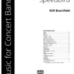 Speedbird